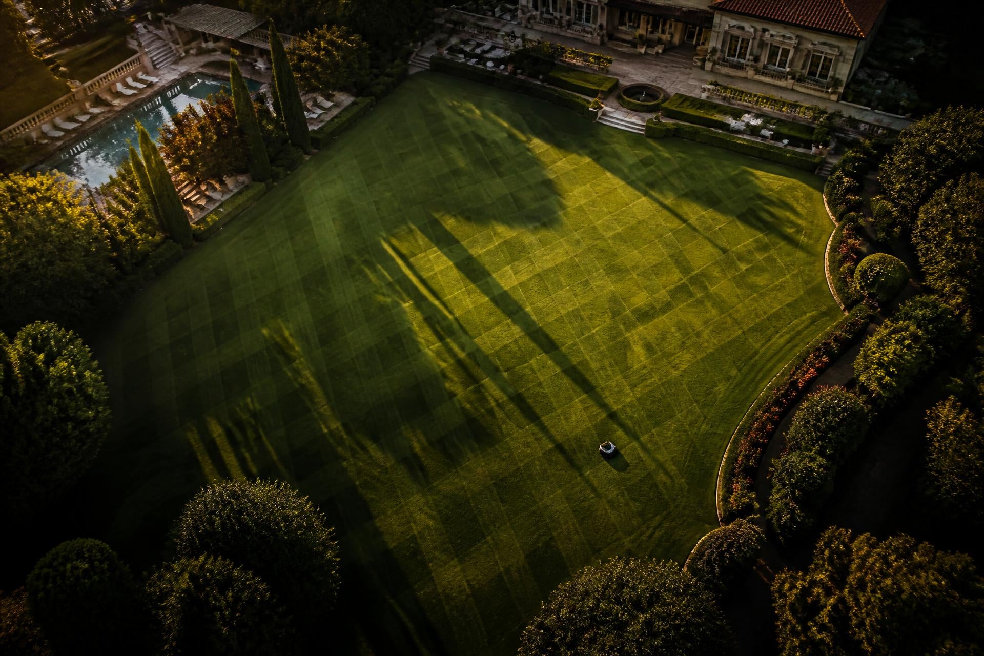 Your lawn is <em>art now.</em>